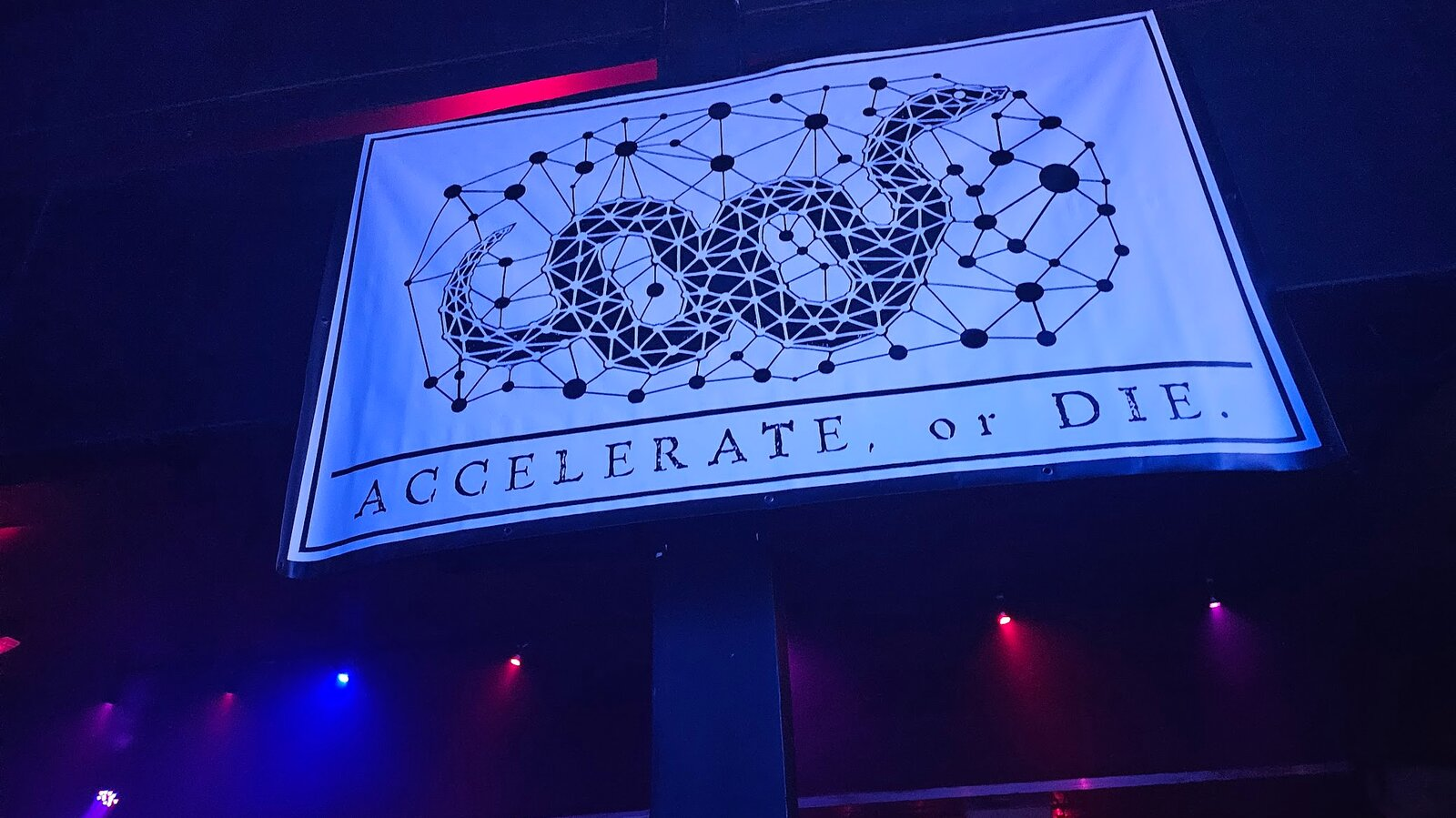 Supplied photograph of a network-patterned snake flag reading Accelerate, or Die.